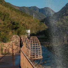 月亮湾瀑布咖啡 User Photo