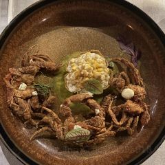 Codex at Conrad Punta de Mita 여행 사진