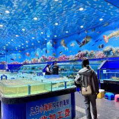 小海豚海鲜广场(清水湾店) 여행 사진