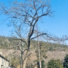 舶来 Coffee·Restaurants(环太湖店) User Photo
