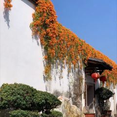 醉仙樓（烏山路店）張用戶圖片