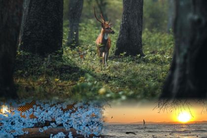 Bingdaocha Restaurant (renminlu)