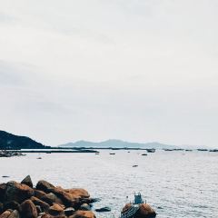 海边有棵树 여행 사진