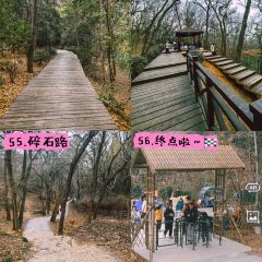 清雅茶苑(山湾里店) User Photo