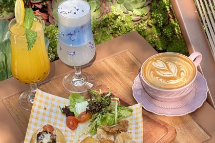 屋顶咖啡·日落甜茶·雪山花园 ·bistro