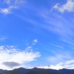 7 sea bar User Photo