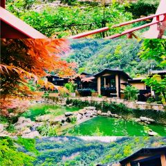 重庆朴乡金佛山度假酒店·朴乡餐厅 User Photo