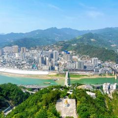 七秒鱼 User Photo