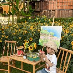 介个院子·草坪团建·围炉冰粉 User Photo