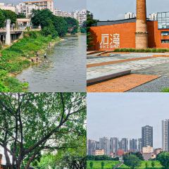 CANAL LUNA User Photo