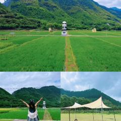 YONG XIANG TU CAI GUAN User Photo