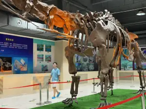 Lingwu Dinosaur Fossil Relic Site Hall