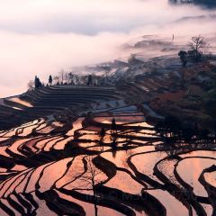 SA MA BA 여행 사진