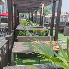 Mango Tree User Photo