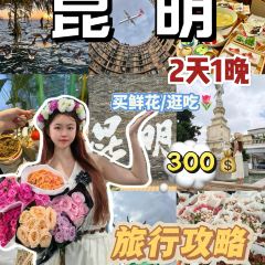 版纳菠萝香傣味饭店 여행 사진