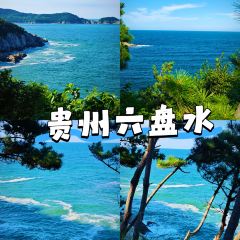 咱媽家·海菜包子（長峰店）張用戶圖片