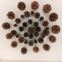 安吉自然博物院自然体验餐厅 User Photo