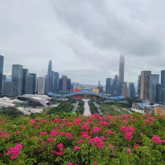 潮新一味普宁肠粉王(梅林店) User Photo