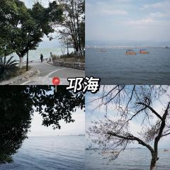 正宗會理雞火絲(龍眼井店)張用戶圖片
