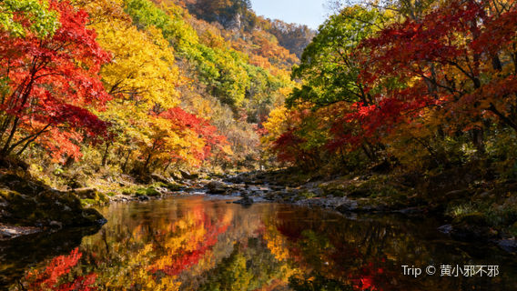 Wujiashan National Forest Park