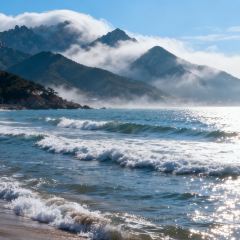 东升灌浆包(辛庄街总店) User Photo