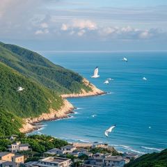 老鬍牛肉粿 User Photo