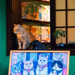 杨萍粉店 User Photo