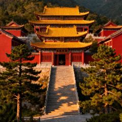 渔味堂南湾鱼三吃(湖东店) User Photo