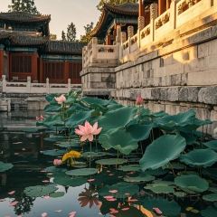 Baijiazhaobing User Photo