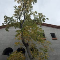 SOMEWHERE kitchen User Photo