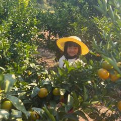 明味生態農莊張用戶圖片