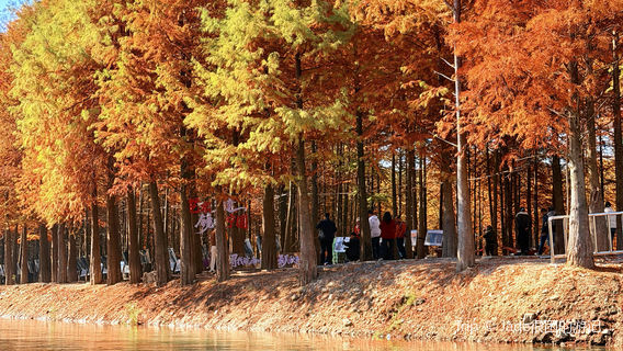 hong shan lin guan jing dian