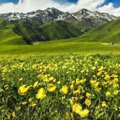 古兰丹姆冰激凌店 User Photo