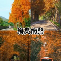 外婆的味道私房餐厅 User Photo