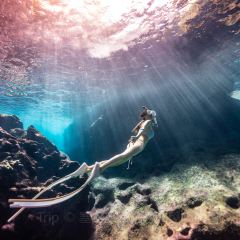 Oleai Beach Bar & Grill User Photo