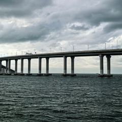 東湧碼頭海鮮火鍋（麥地店）張用戶圖片