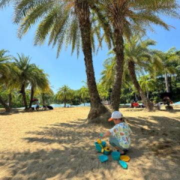 大鍋強·蒸海鮮青島菜（上流滙店）用戶圖片