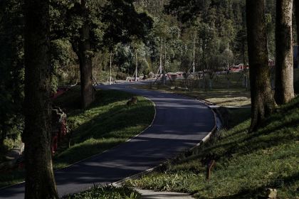 周记祖传棒棒鸡(团结街店)