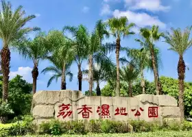 Dongguan Dalang Lixiang Wetland Park (North Gate)