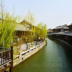 Yunhegudu (xinghuaxilu) User Photo