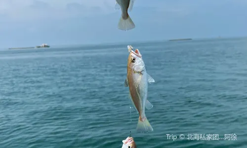 北海海釣