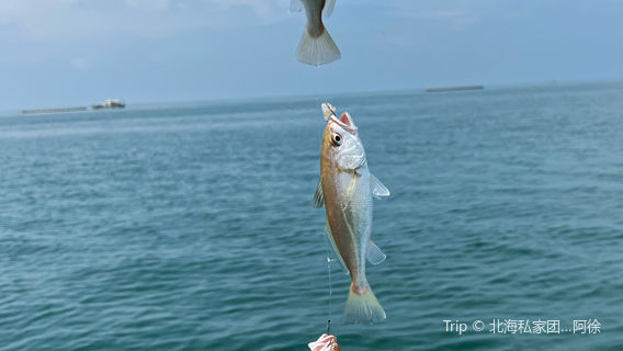 Sea-fishing in Beihai