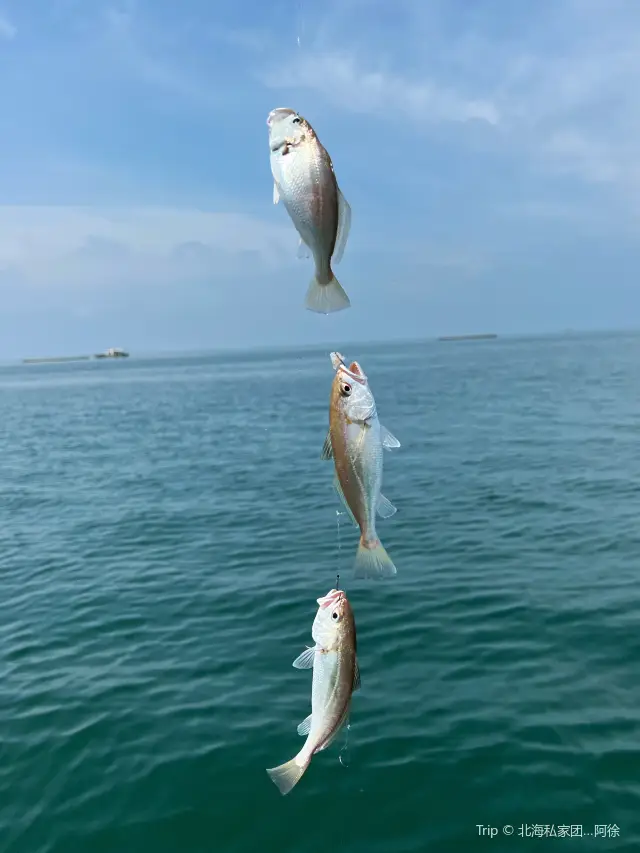 Beihai Sea Fishing