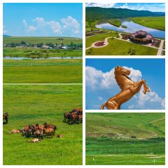 AO LU GU YA User Photo