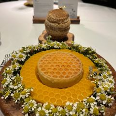 LING LONG User Photo