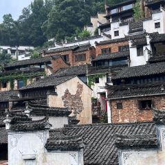 FU CHUN ZHU JIAO GUAN User Photo