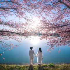 Morning Market cafeteria Nibankan User Photo