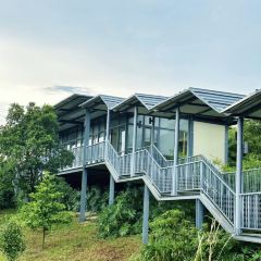 茶山天然居 User Photo