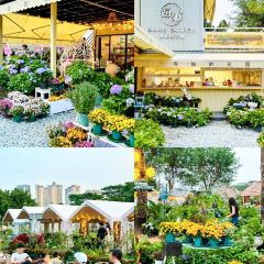 海如的花園張用戶圖片