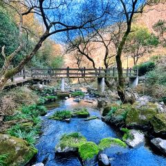 北山淩英手擀麵張用戶圖片